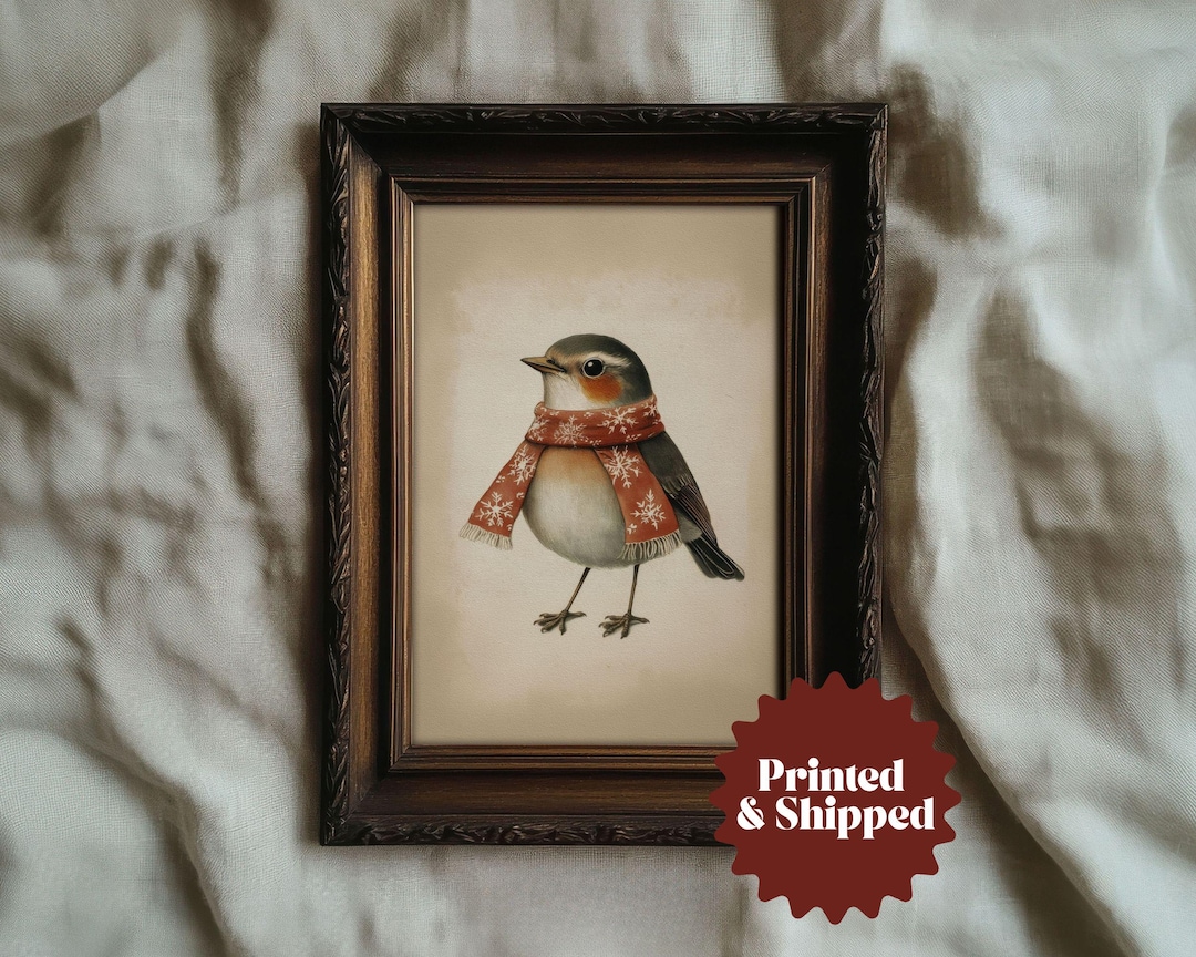 Whimsy Robin Vintage Robin With Scarf Print | Whimsical Cottage Christmas Decor ...