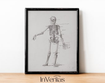 Impresión de esqueleto vintage / Boceto de esqueleto con anotaciones / Decoración Moody Dark Academia / IMPRIMIBLE / No. 222