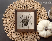 Vintage Garden Spider Illustration | Witchy Decor | PRINTABLE | No. 284
