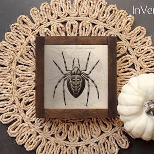 Vintage Garden Spider Illustration | Witchy Decor | PRINTABLE | No. 284