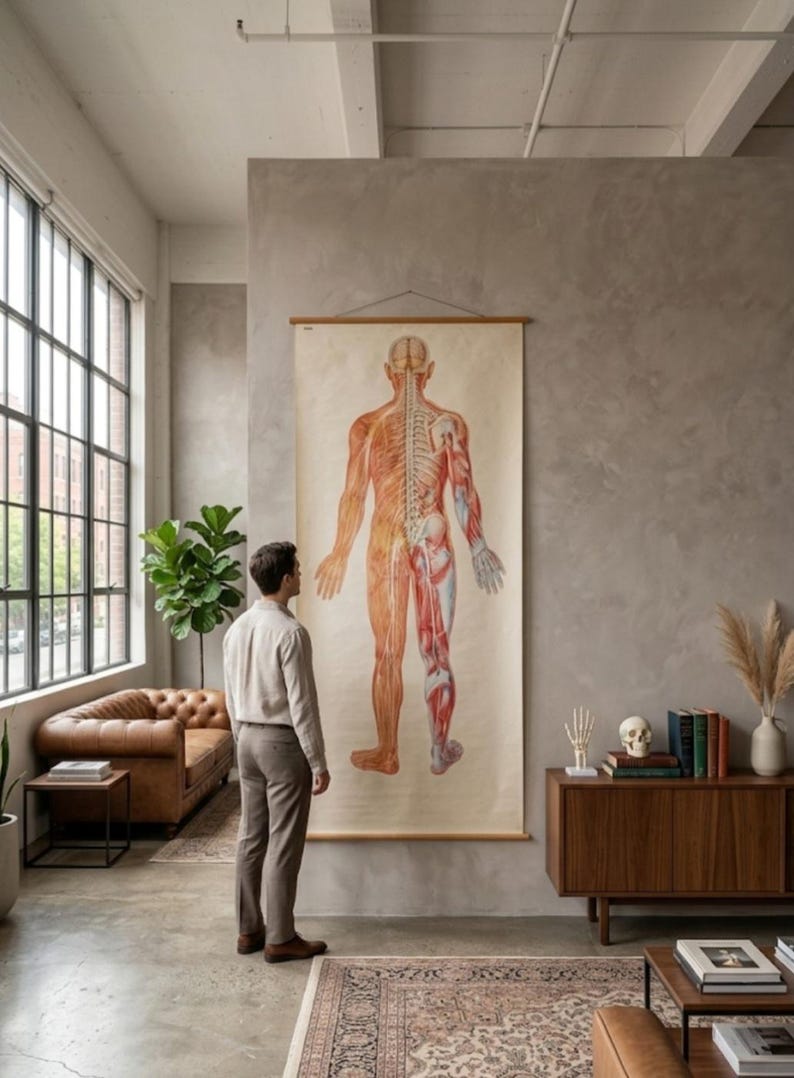 Vintage Life Size Human Anatomy Poster Nervous System Chart Large ...