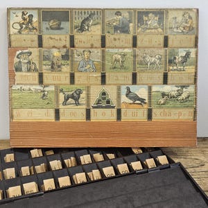 Op de afbeelding: Een vintage educatief woordbouw-bord met drie rijen geïllustreerde panelen die dieren, mensen en objecten tonen met bijbehorende Nederlandse tekstlabels, gecombineerd met een verdeelde houten doos met kleine letterkaartjes.
