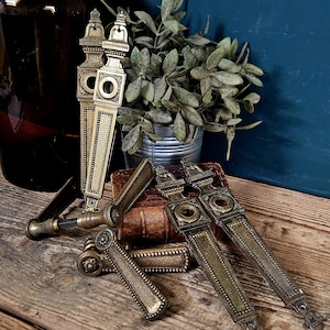 May include: A collection of antique-style brass door plates and handles featuring elongated rectangular designs with textured surfaces, decorative finials, and circular keyhole escutcheons. The hardware displays a weathered metallic finish.