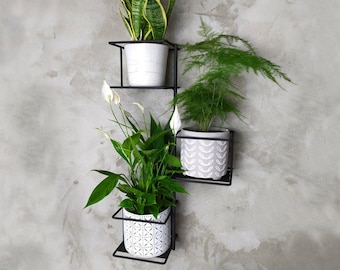 Colgador de plantas de metal de pared Jungle 2, Pflanzenaufhänger, Kwietnik