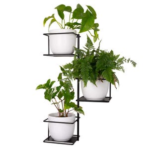 Jungle 2-wandige metalen plantenhanger, Pflanzenaufhänger, Kwietnik