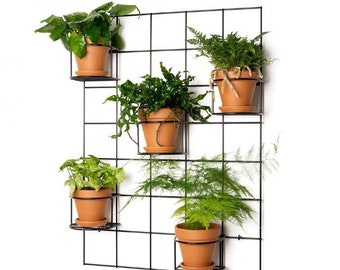 Hedera 2 set1 mur treillis grille parterre plante cintre support Pflanzenaufhänger blumenaufhanger Kwietnik plante cintre