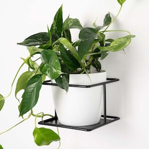Flora - Wandmetall Pflanzenaufhänger, Pflanzenaufhänger, Kwietnik, Pflanzenhalter