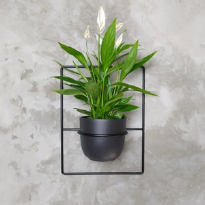 Op de afbeelding: Een zwarte metalen wandbeplanting met een donkergrijze pot met een vredeslelie met witte bloemen. De beplanting is gemonteerd op een betonnen muur.