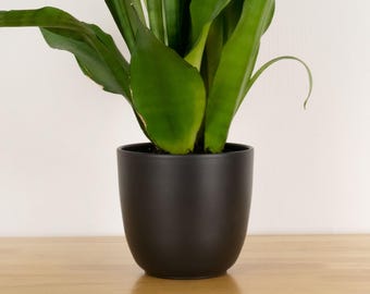 Vaso in ceramica da 15 cm