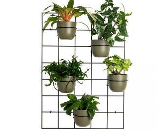 Hedera 2 set2 wall trellis grid flowerbed plant hanger holder Pflanzenaufhänger blumenaufhanger Kwietnik plante cintre