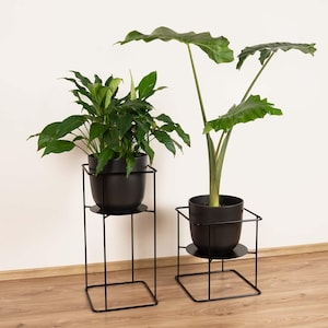 Könnte beinhalten: Zwei schwarze Pflanzenständer aus Metall mit quadratischen Sockeln und einem einzigen Regal. Eine grüne, blättrige Pflanze steht in einem schwarzen Topf auf dem linken Ständer, und eine größere grüne Pflanze mit großen Blättern steht in einem schwarzen Topf auf dem rechten Ständer.