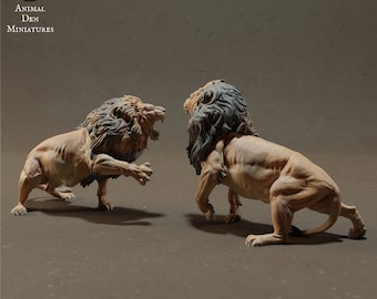 Lions fighting different variants - Design by Animal Den Miniatures