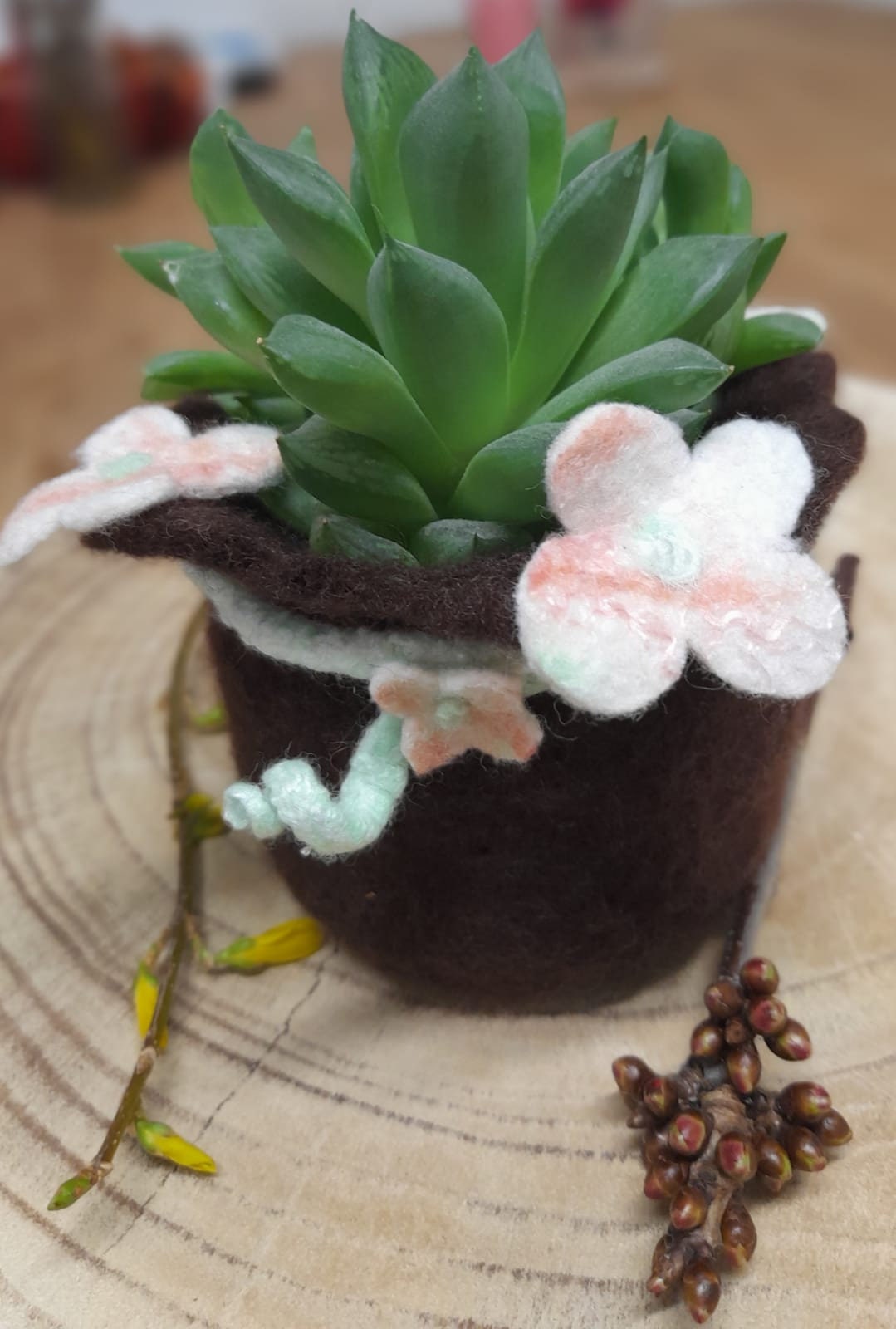 Felted Flower Pot With Felt Flowers Unique Felt Etsy