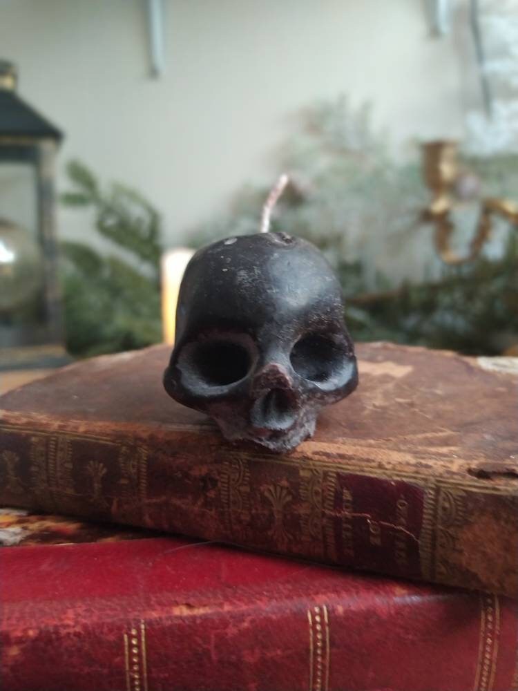Bougie Crâne Tête de Mort Décoration Gothique Spécimen Humide Wicca Vikings Cabinet Curiosités Cire