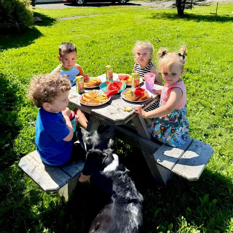 Picnic Table Etsy picnic-table-etsy