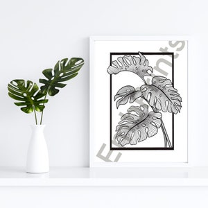 Könnte beinhalten: Schwarz-weiß-Linienkunst-Druck von tropischen Monstera-Blättern in einem weißen Rahmen. Der Druck ist auf weißem Hintergrund.