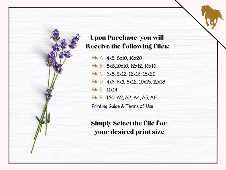 May include: A white background with a lavender sprig and text that reads "Upon Purchase, you will Receive the following files:" followed by a list of file names and sizes, including 4x5, 8x10, 16x20, 11x14, and ISO: A2, A3, A4, A5, A6. The text also reads "Simply Select the file for your desired print size".