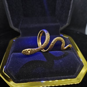 Op de afbeelding: Een gouden slangenring met een getextureerd oppervlak. De ring wordt gepresenteerd in een zwarte fluwelen doos met een gouden rand.