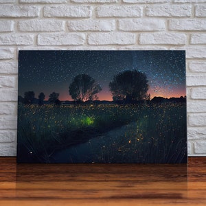 Fireflies light up the Oklahoma Prairie under a Starry night sky, framed canvas print