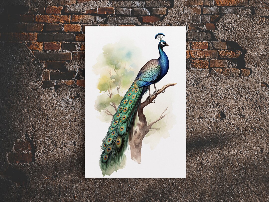 Peacock Wall Art, 24 X 36 Wall Art, Beautiful Vintage Peacock Framed Canvas Print, Wall Hanging