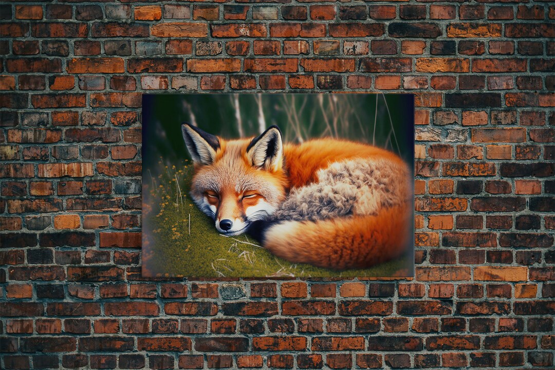 Sleeping Fox Framed Canvas Wall Art, Canvas Print Decor for Home
