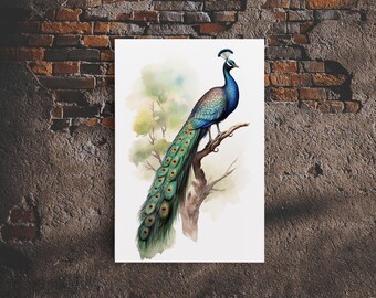 Peacock Wall Art, 24