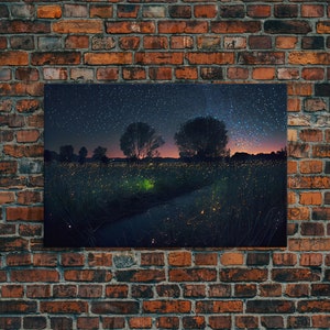 Fireflies light up the Oklahoma Prairie under a Starry night sky, framed canvas print