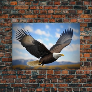 3dRose Photo of Bald Eagle Profile, American Frag, Frame, Fathers Day -  Towels (twl-344753-2)
