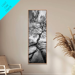 May include: Black and white framed print of a tree with a winding trunk and sprawling branches. The artwork is set against a cloudy sky and rocky terrain. The frame is light oak, and the text "LIGHT OAK FRAME" is in the upper left corner.