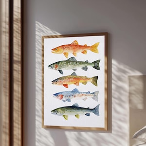 May include: A framed wall art print featuring five distinct fish illustrations arranged vertically. The fish are rendered in watercolor style with varied color patterns including orange, green, brown, blue, and grey, all set against a white background.