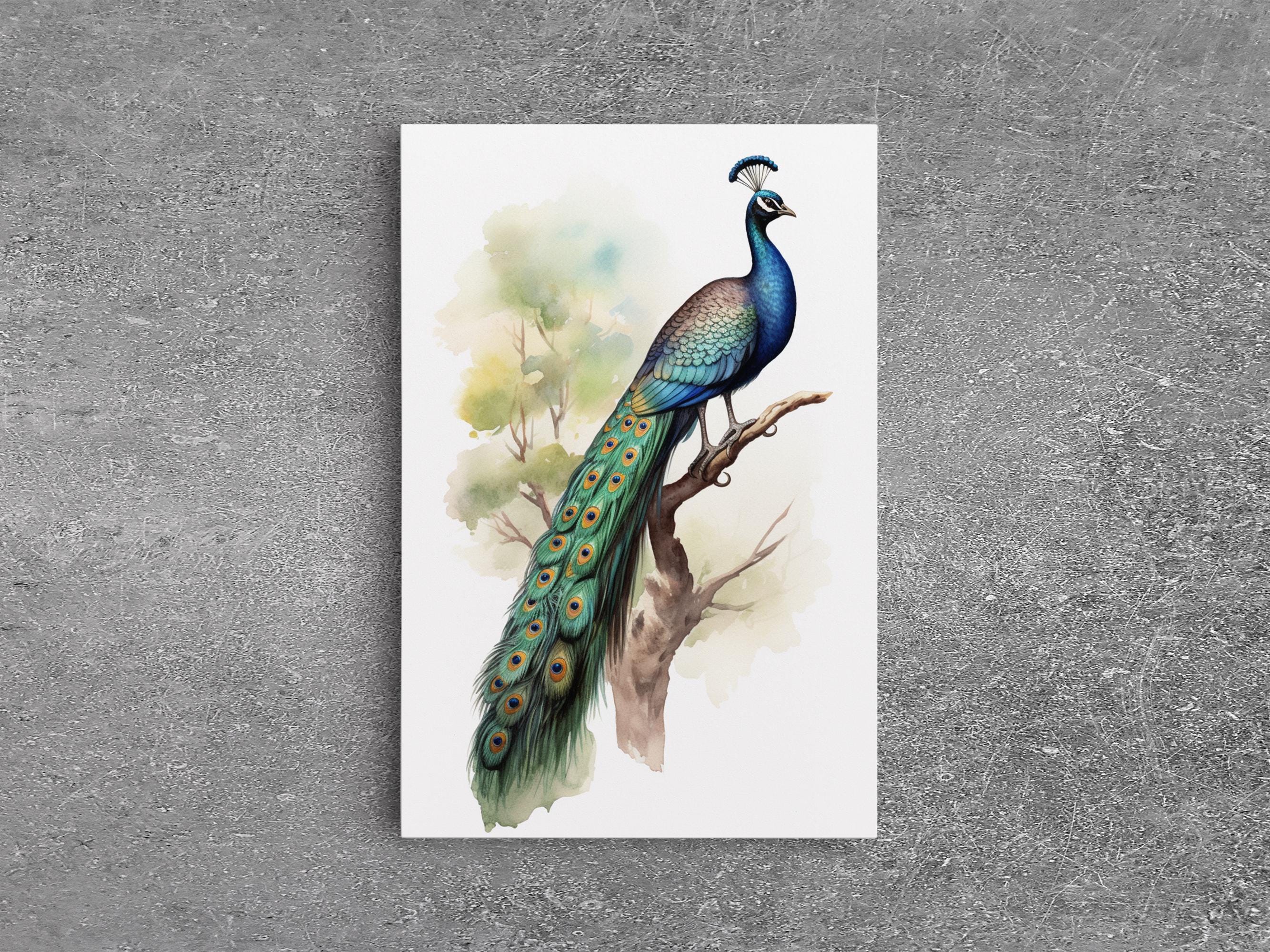 ★Original ART  ‘Peacock’ Peacock Wall Art, 24
