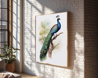 Peacock Wall Art, 24