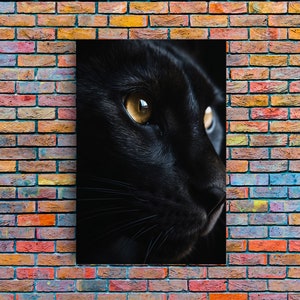 Beautiful Black Cat Portrait, Cat Photography, Framed Canvas Print, Framed Art, Halloween Witch Cat Art