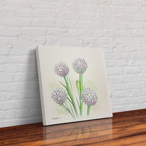 allium roseum, Watercolor Flower Art, Floral Art, Gifts for Her, framed canvas print, wall art image 6