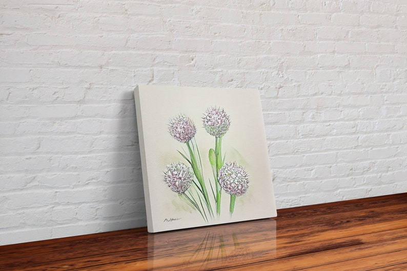 allium roseum, Watercolor Flower Art, Floral Art, Gifts for Her, framed canvas print, wall art image 6