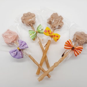 Dog lollipop with chew stick