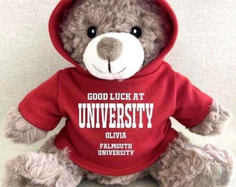 Personalised University Good Luck Hoodie Bear, Good Luck at Uni Keepsake Teddy, Black White Navy Green Blue Red Pink Purple Hoody Uni Bear