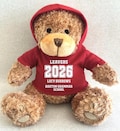 Personalised Leavers 2026 Hoodie Bear, Class Of 2026 Keepsake Teddy, School Red Green Royal Blue Navy Purple Pink Hoodie Leavers Gift Bear product logo