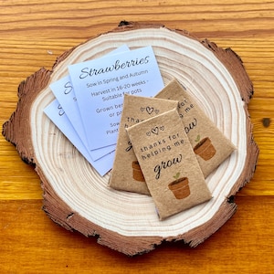 Mini Pacotes de sementes para lembrancinhas de casamento ou aniversário com cartão informativo - Moderno e rústico