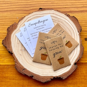 Mini Gift Seed Packets