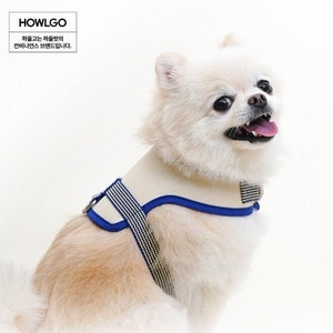 以下が含まれることがあります： 青いトリムと白黒のストライプのストラップが付いたクリーム色の犬用ハーネスが、小さく明るい色の犬に着用されています。犬は口を開けて上を見ています。「HOWLGO」の文字が左上にあります。