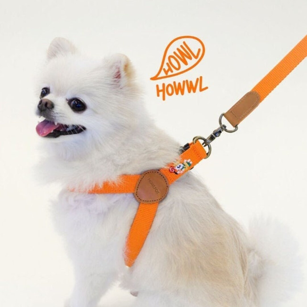 HOWLPOT Adventure Dog Harness Halloween Orange Training High Etsy