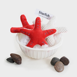 May include: A white basket contains red and white starfish plush toys. The red starfish has blue stitching. The basket is on a white surface with smooth stones. A sign reads "Starfish".