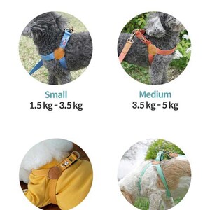 May include: Image showing four dog harnesses in different sizes: Small (1.5-3.5 kg), Medium (3.5-5 kg), Large (5-8 kg), and X-Large (8-11 kg). Each harness is shown on a dog, with the size clearly labeled. The text states the harness size is recommended based on dog type and weight.