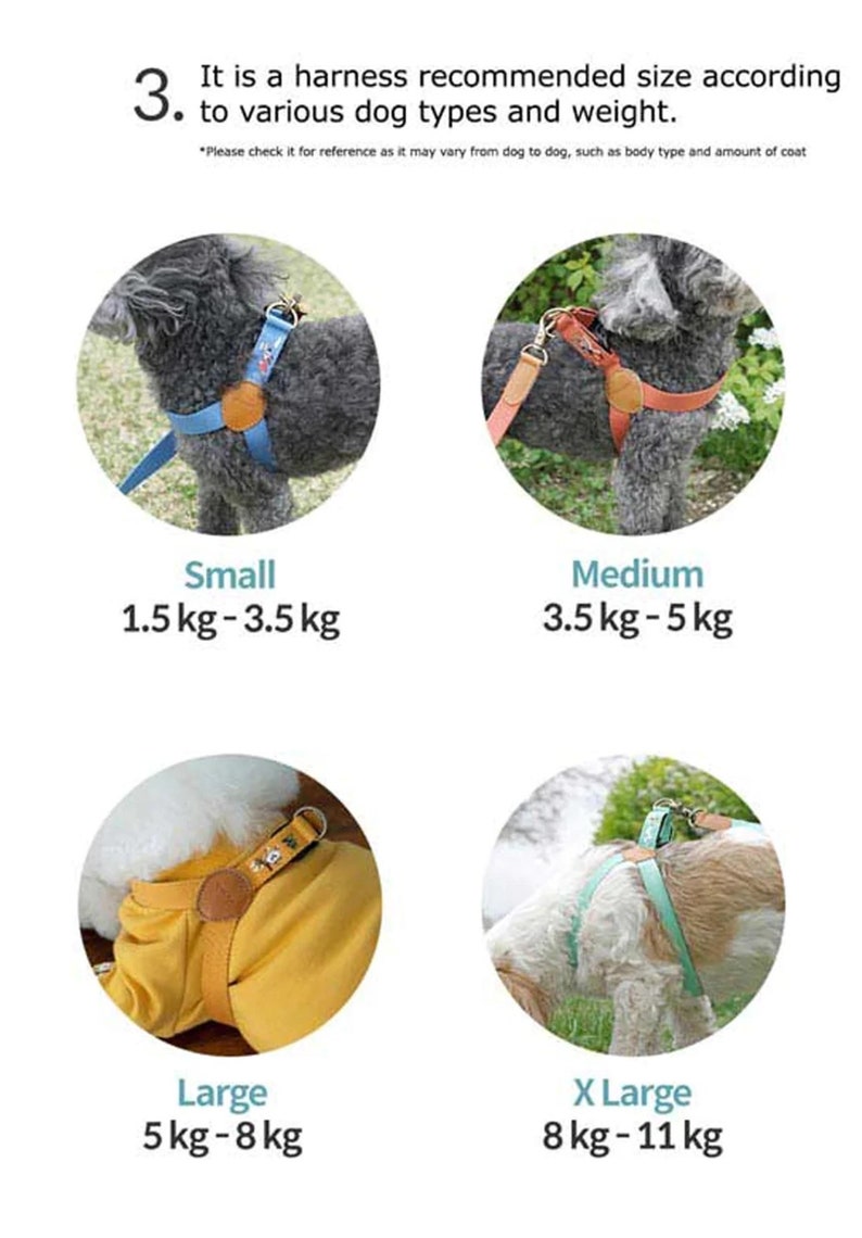May include: Image showing four dog harnesses in different sizes: Small (1.5-3.5 kg), Medium (3.5-5 kg), Large (5-8 kg), and X-Large (8-11 kg). Each harness is shown on a dog, with the size clearly labeled. The text states the harness size is recommended based on dog type and weight.