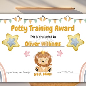 Potty Training Award Certificate, Editable Template, Downloadable Kids Reward, Instant download, Congratulations award
