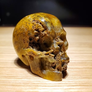 2.0&quot; NEW PIETERSITE Carved Crystal Skull Healing Realistic Natural Gemstone Carving