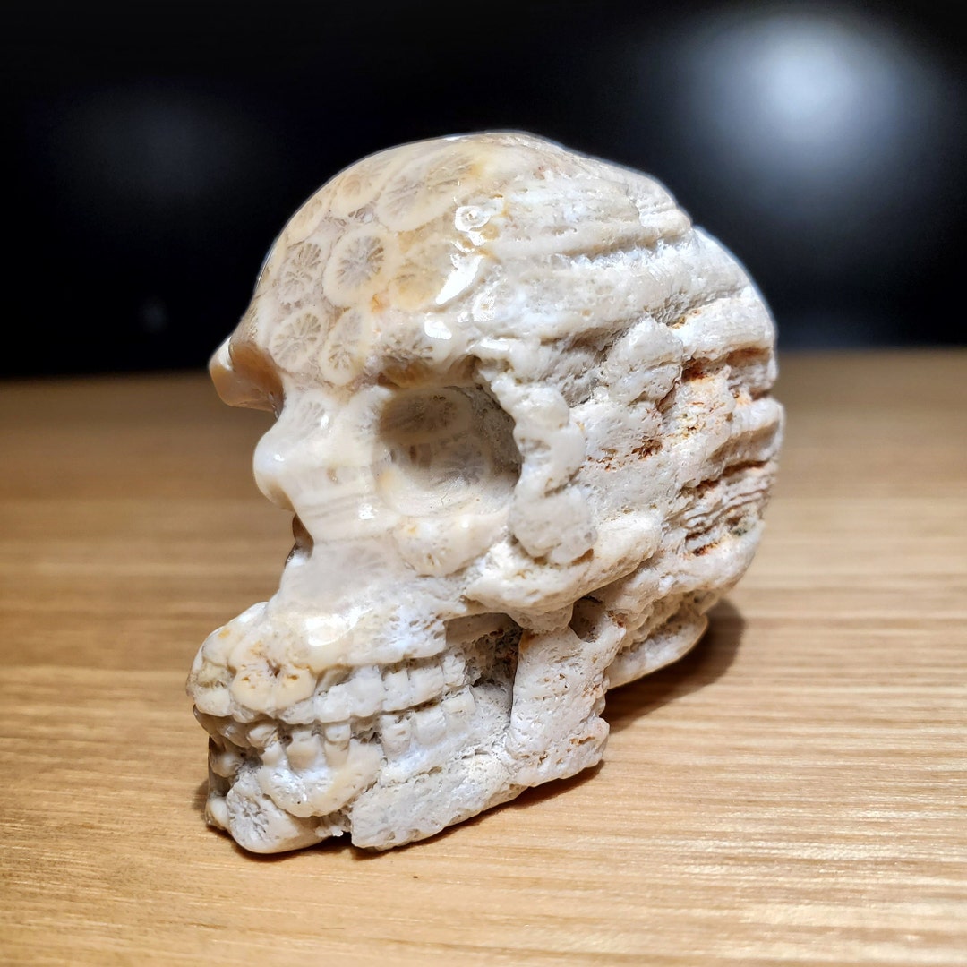 Crâne Sculpté En Hématite – Taille 6,9 Cm – Réaliste – Pierre De Guérison – Neuf