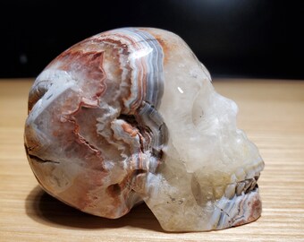 2.0" RED CRAZY LACE Agate Carved Crystal Skull Healing Realistic Natural Gemstone Carving
