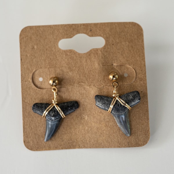 Small Shark Tooth Drop Earrings